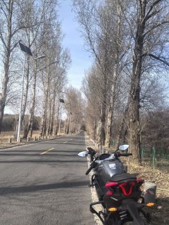 CFMOTO 250SR - ფოტო 2