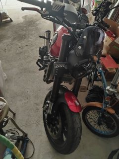 Benelli Leoncino 500 - ფოტო 3