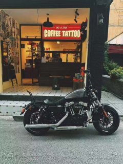 Harley-Davidson Forty-Eight 1200 cc - ფოტო 3