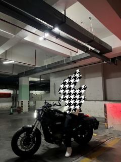 QJMOTOR Flash 300 - photo 2