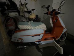 Weiduoliya Sixties 150Si - ფოტო 3
