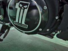 Harley-Davidson Forty-Eight athlete 1200 cc - ფოტო 12