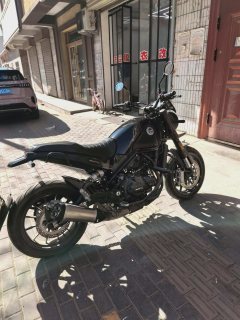 Benelli Leoncino 500 - ფოტო 3