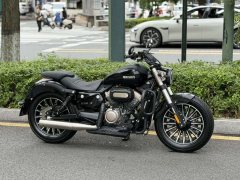 Benda Polestones 03 Gray 300 cc - photo 1