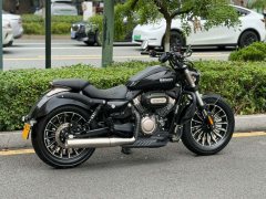 Benda Polestones 03 Gray 300 cc - photo 3