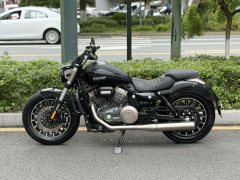 Benda Polestones 03 Gray 300 cc - photo 5
