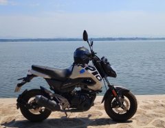 CFMOTO ST Baboon 125 cc - фото 2