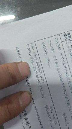 QJMOTOR Flash 300 - photo 3