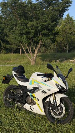 QJMOTOR SRK 250 - ფოტო 1