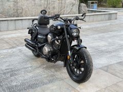 Benda Chinchilla 450 - photo 1