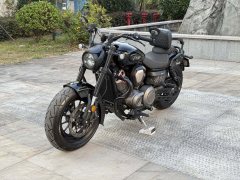 Benda Chinchilla 450 - photo 7