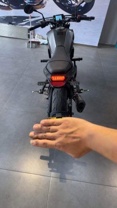 Benelli Young Lion Leoncino 250 - ფოტო 4