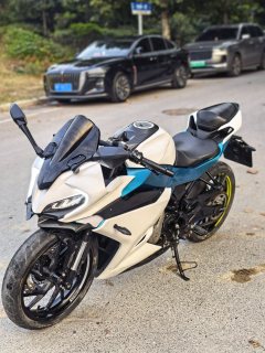 CFMOTO 250SR - ფოტო 3