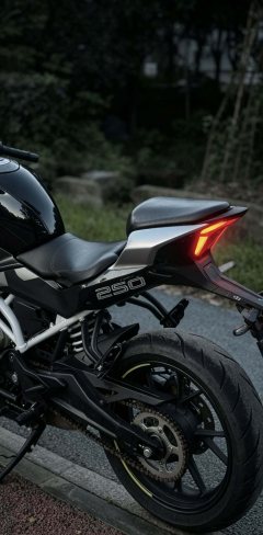 CFMOTO 250SR - ფოტო 2