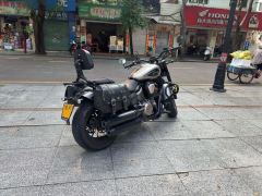 Benda Chinchilla 450 - photo 7