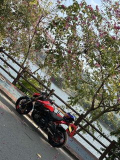 QJMOTOR Chaser 600 - ფოტო 3