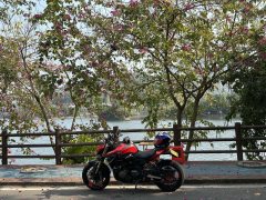 QJMOTOR Chaser 600 - ფოტო 4