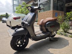Weiduoliya Sixties 250Si - ფოტო 5