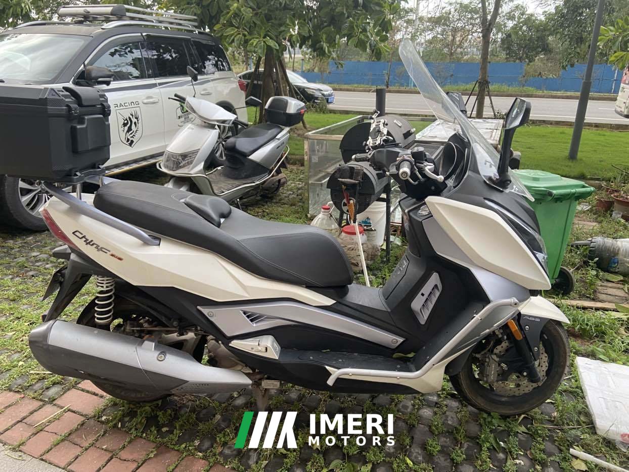 2020 Ariic 318 300 cc