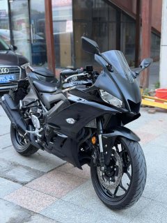 Yamaha YZF-R3 320 cc - ფოტო 9