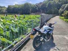 Haojue Suzuki GSX250R - ფოტო 6