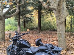 CFMOTO 250CL-C - ფოტო 1
