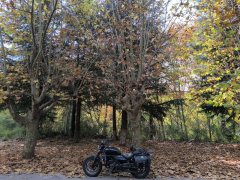 CFMOTO 250CL-C - ფოტო 3