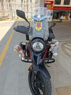 Haojue Suzuki DL250 - ფოტო 5