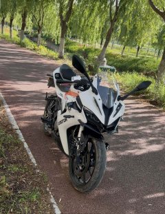 QJMOTOR SRK 250 - ფოტო 1
