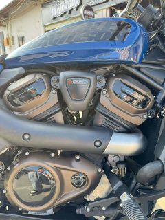 Harley-Davidson Sportster S 1250 cc - фото 8