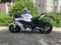 QJMOTOR Sai 600 - photo 1
