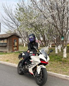 QJMOTOR Roewe i5 550 / Sai 550 *(Context-dependent, usually referring to the motorcycle "Sai 550" or Roewe car v - ფოტო 1