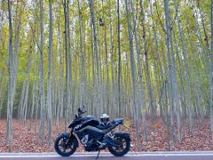 CFMOTO 250NK - ფოტო 3