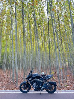 CFMOTO 250NK - ფოტო 4