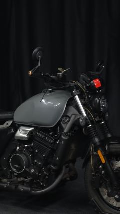 Changjiang Bobbie 400 II - photo 2
