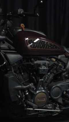 Harley-Davidson Sportster S 1250 cc - ფოტო 4