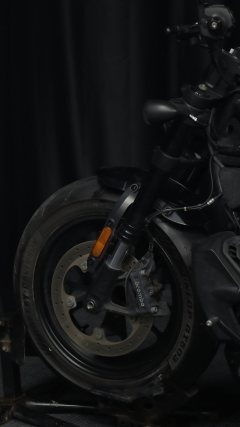Harley-Davidson Sportster S 1250 cc - ფოტო 5