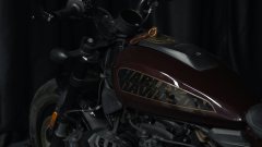 Harley-Davidson Sportster S 1250 cc - ფოტო 6