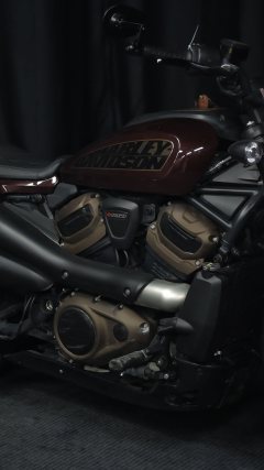 Harley-Davidson Sportster S 1250 cc - ფოტო 8