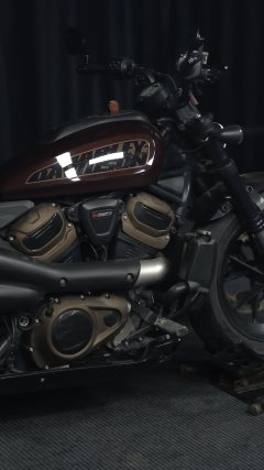 Harley-Davidson Sportster S 1250 cc - ფოტო 9