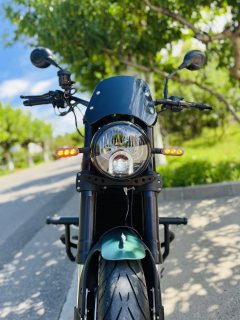 Benelli Lion Cub Leoncino 500 - ფოტო 5