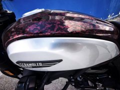 Ducati Scrambler 800 - фото 7