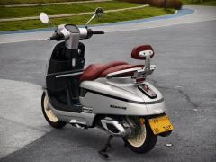 Nanfnag Monica Lisa Feigo 250 cc - ფოტო 8