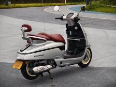 Nanfnag Monica Lisa Feigo 250 cc - ფოტო 9