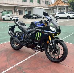 Yamaha YZF-R3 320 cc - ფოტო 1