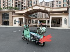 ROYAL ALLOY GP250 - ფოტო 1