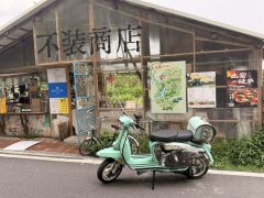ROYAL ALLOY GP250 - ფოტო 3