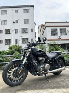 Benda Polestones 03 Gray 300 cc - ფოტო 3