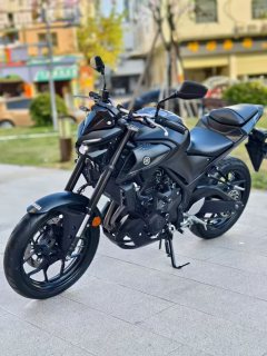 Yamaha MT-03 320 cc - ფოტო 3