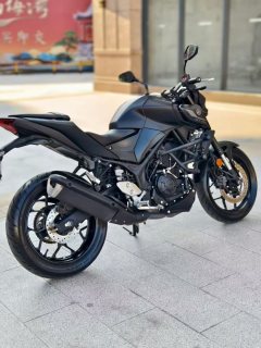 Yamaha MT-03 320 cc - ფოტო 6